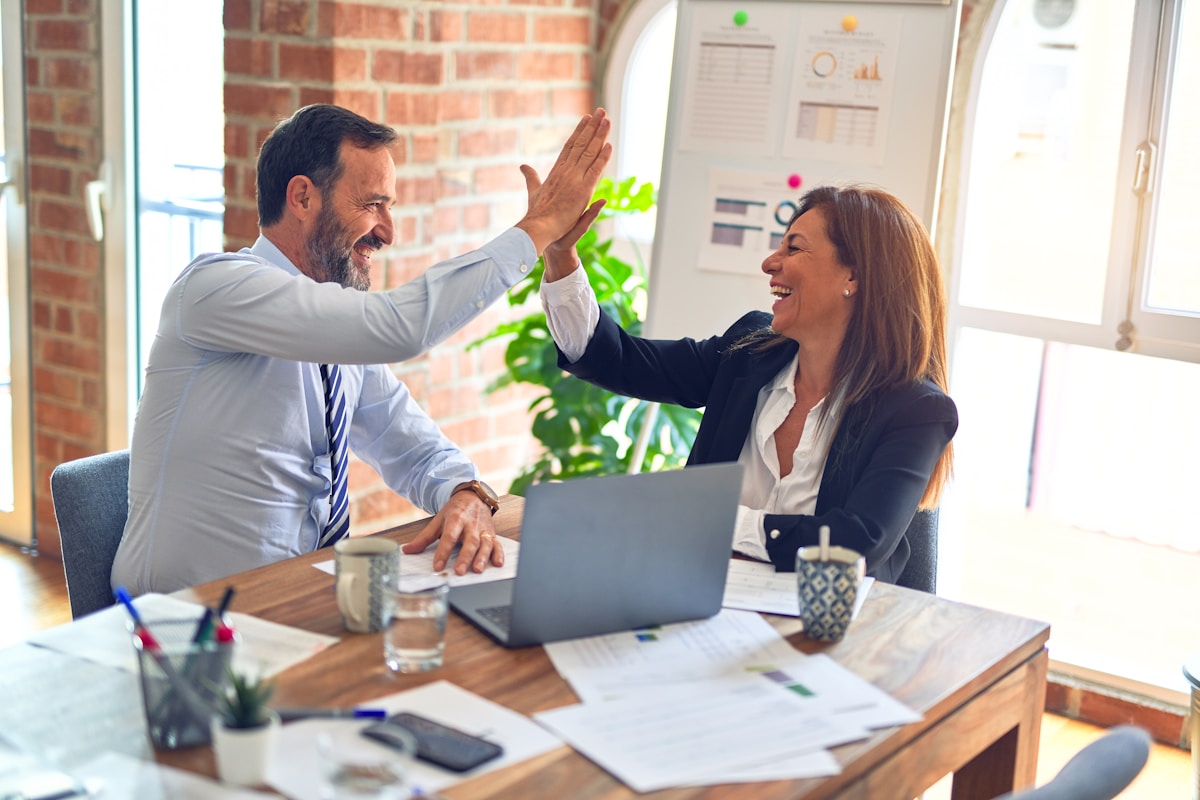 Développement de la plateforme TALINEO